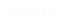 Baylis medical logo on a high quality black background.